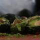Avocados are pictured as volunteers from a culinary school attempt to set a new Guinness World Record for the largest serving of guacamole in Concepcion de Buenos Aires, Jalisco,